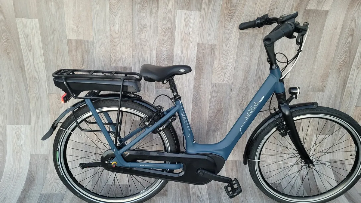 Brand New Gazelle - Image 4