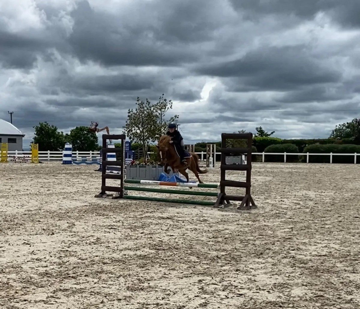 ⭐️ Marvellous Pony ⭐️ - Image 1