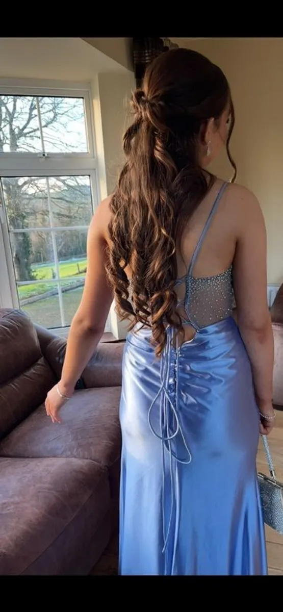 TY Ball dress - Image 1