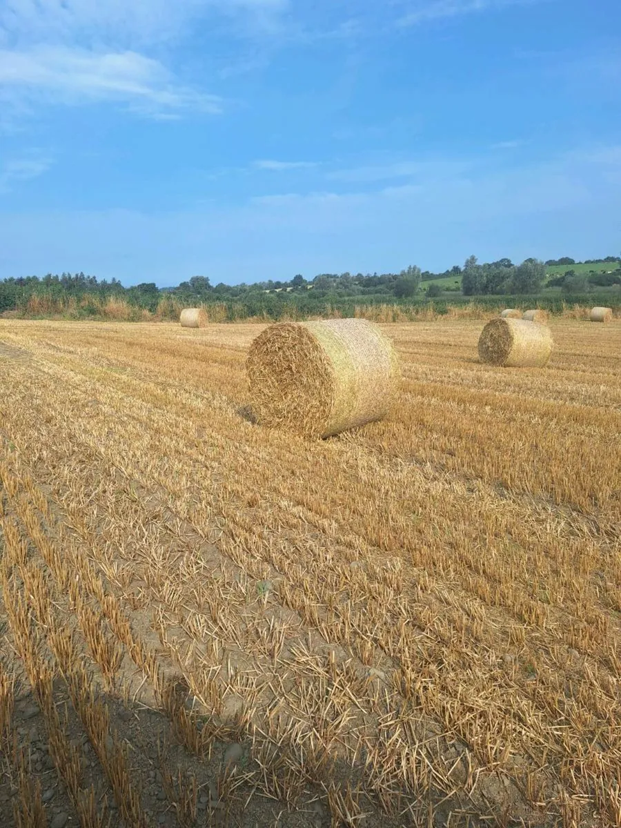 Straw
