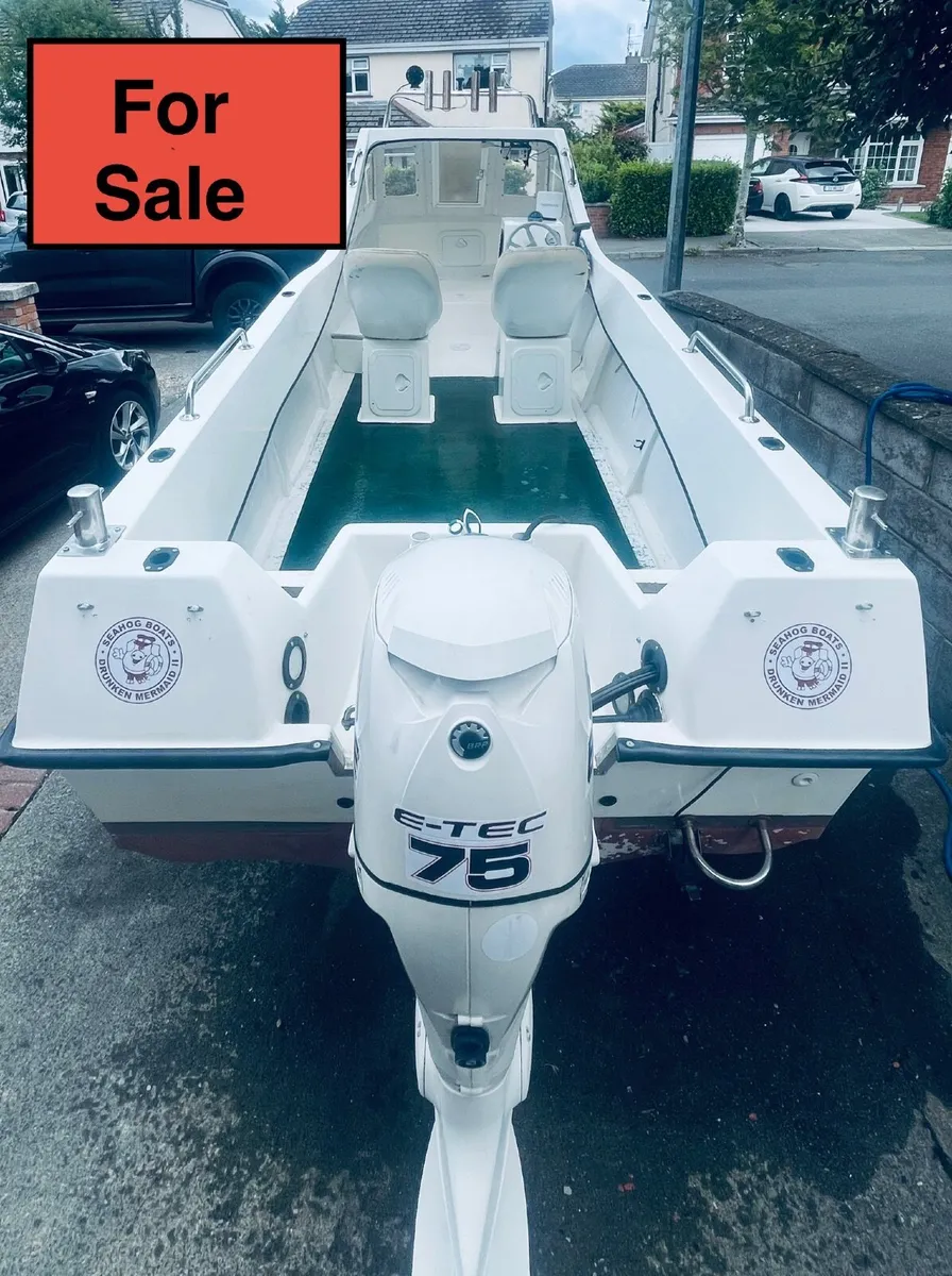 Sea Hog Commodore fishing Boat - Image 1