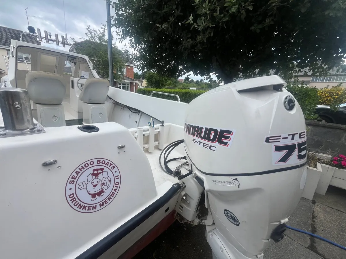 Sea Hog Commodore fishing Boat - Image 4