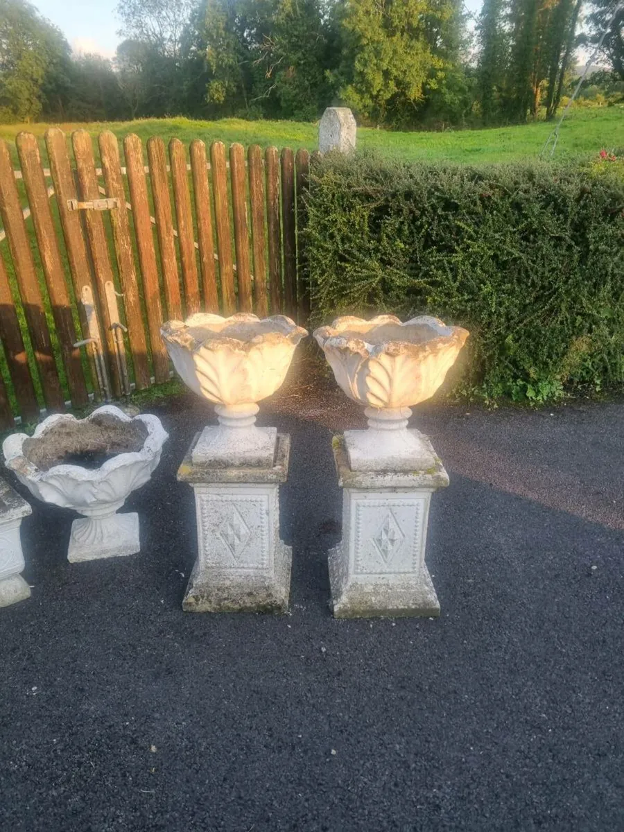 Concrete flower pots - Image 3