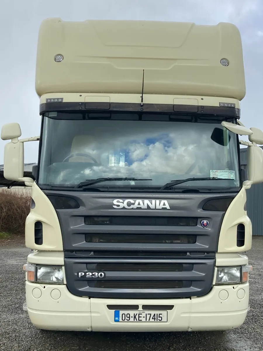 HORSE LORRY - Image 2