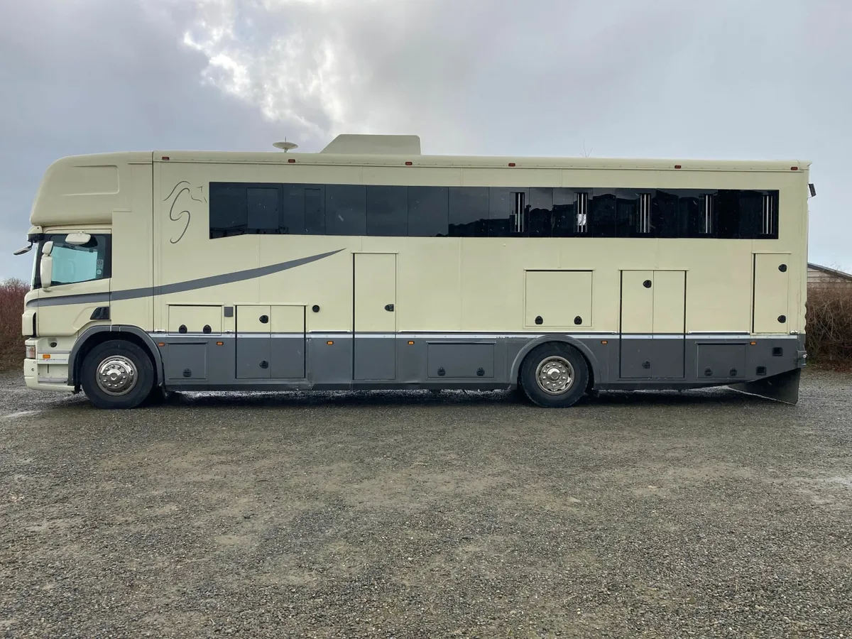 HORSE LORRY - Image 3