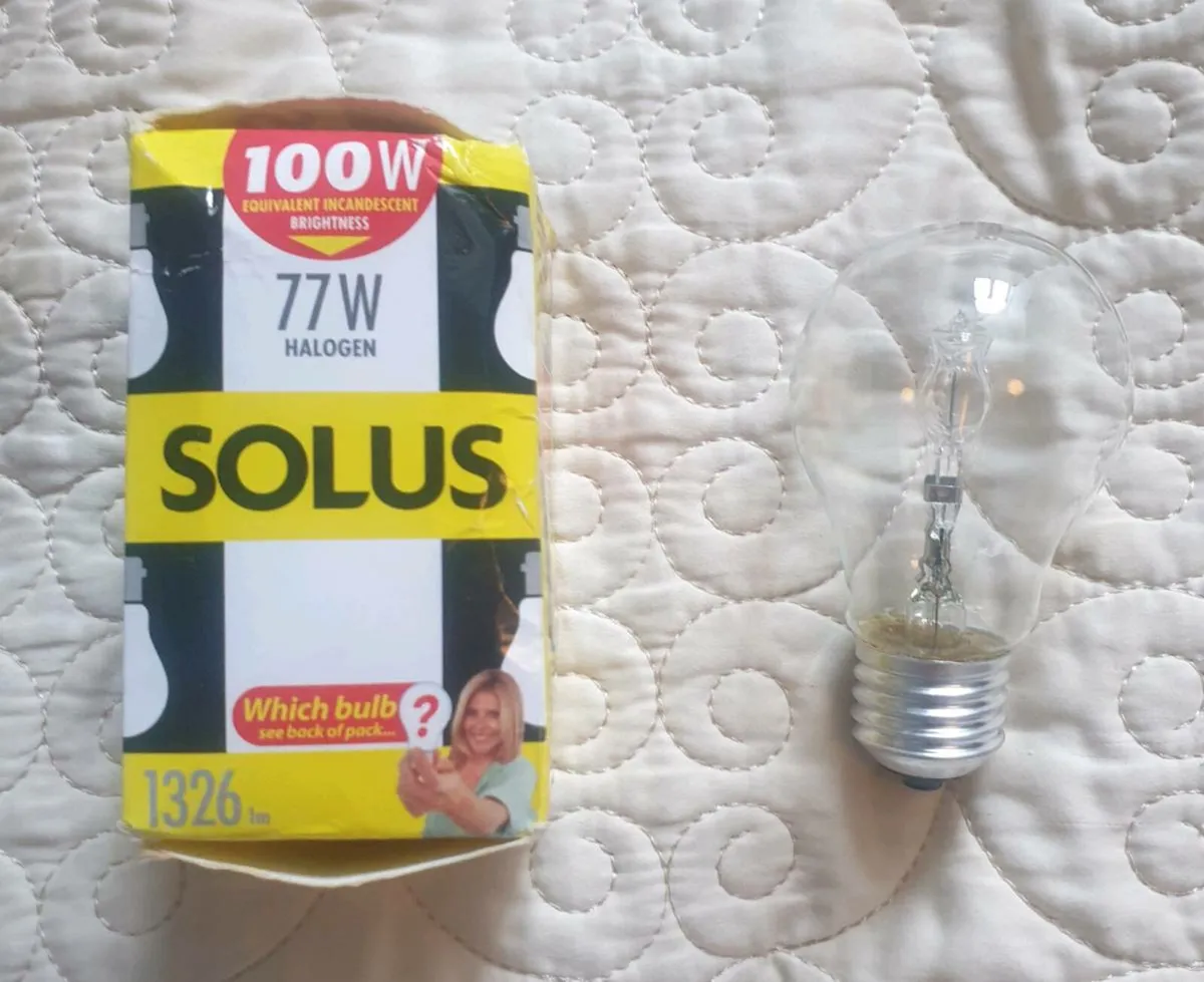 Screw In Light Bulb - Image 1
