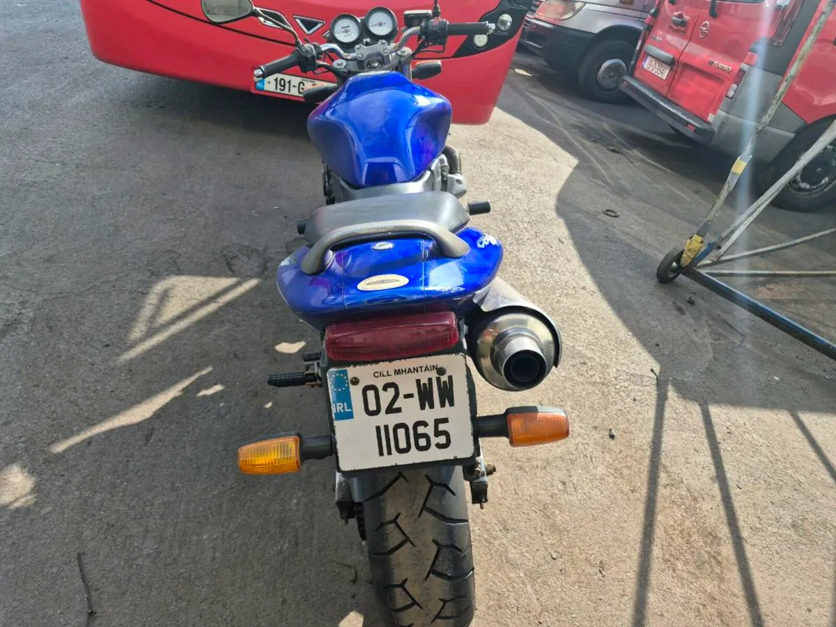 Honda Hornet - Image 2