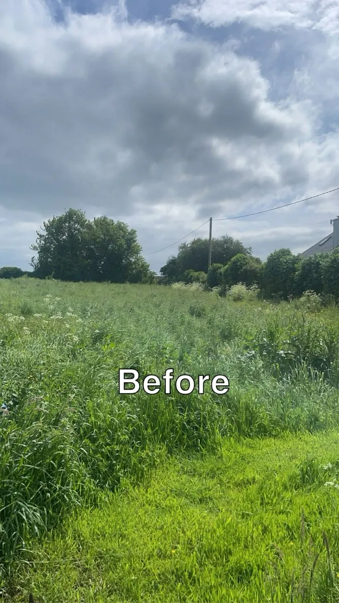 Grass mowing service - Image 1