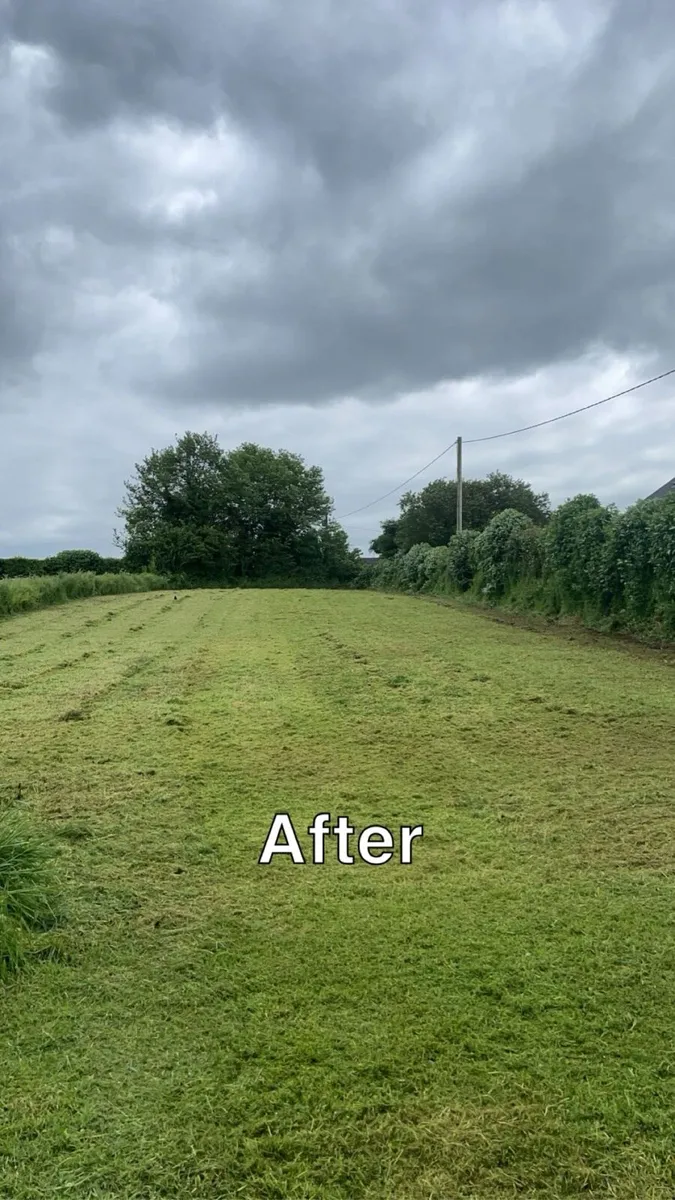 Grass mowing service - Image 2