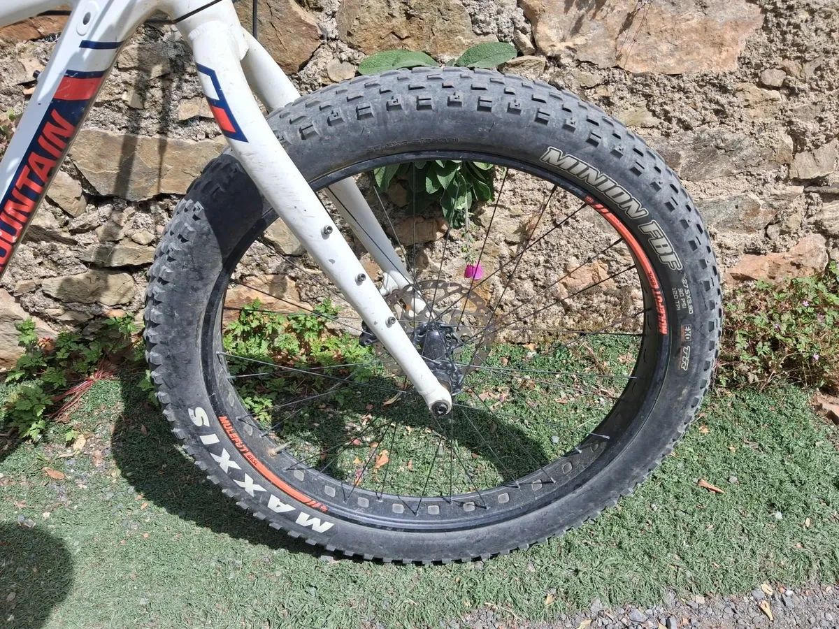Online Auction Of Rocky Mountain Suzi Q Fatbike - Image 2