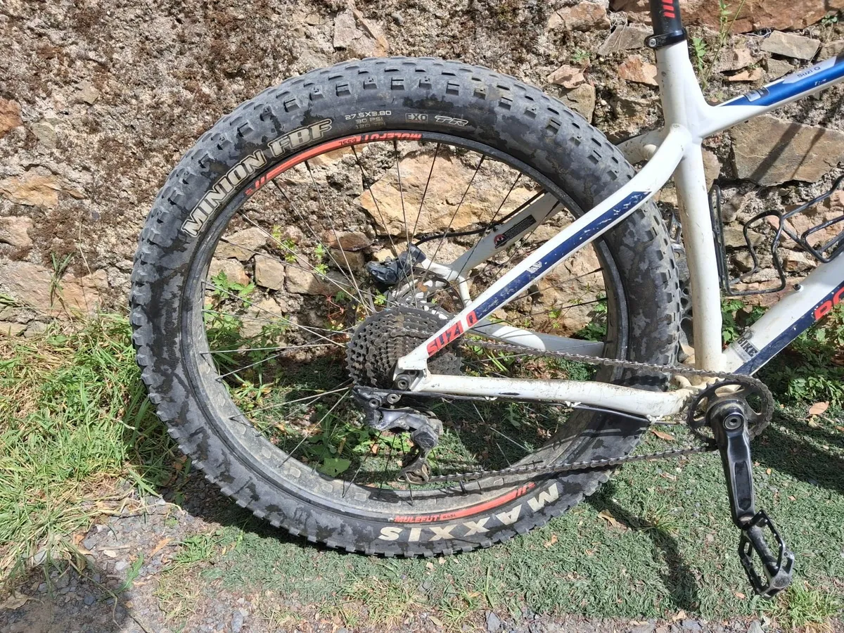 Online Auction Of Rocky Mountain Suzi Q Fatbike - Image 3