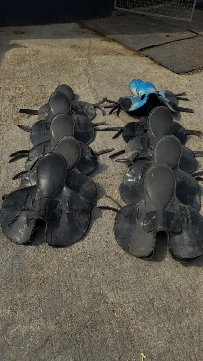 *****Exercise saddles for sale ***** - Image 1