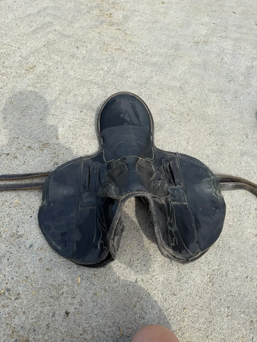 *****Exercise saddles for sale ***** - Image 2