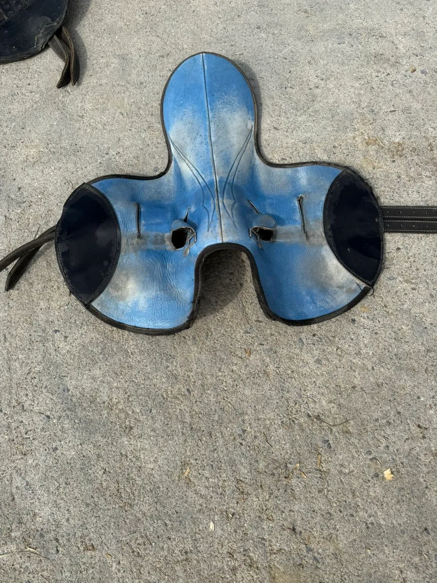 *****Exercise saddles for sale ***** - Image 3