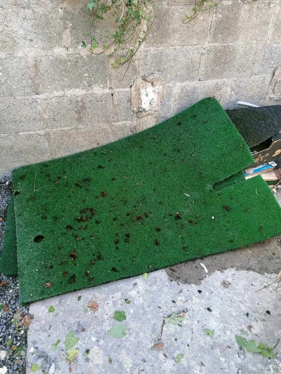Golf putting mats/Crazy Golf Mats - Image 2