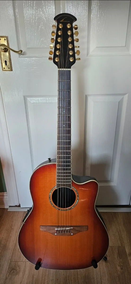 12 String Semi Acoustic Guitar - Image 1