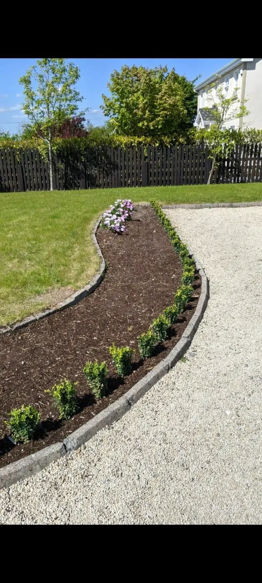 Box Hedging - Image 3