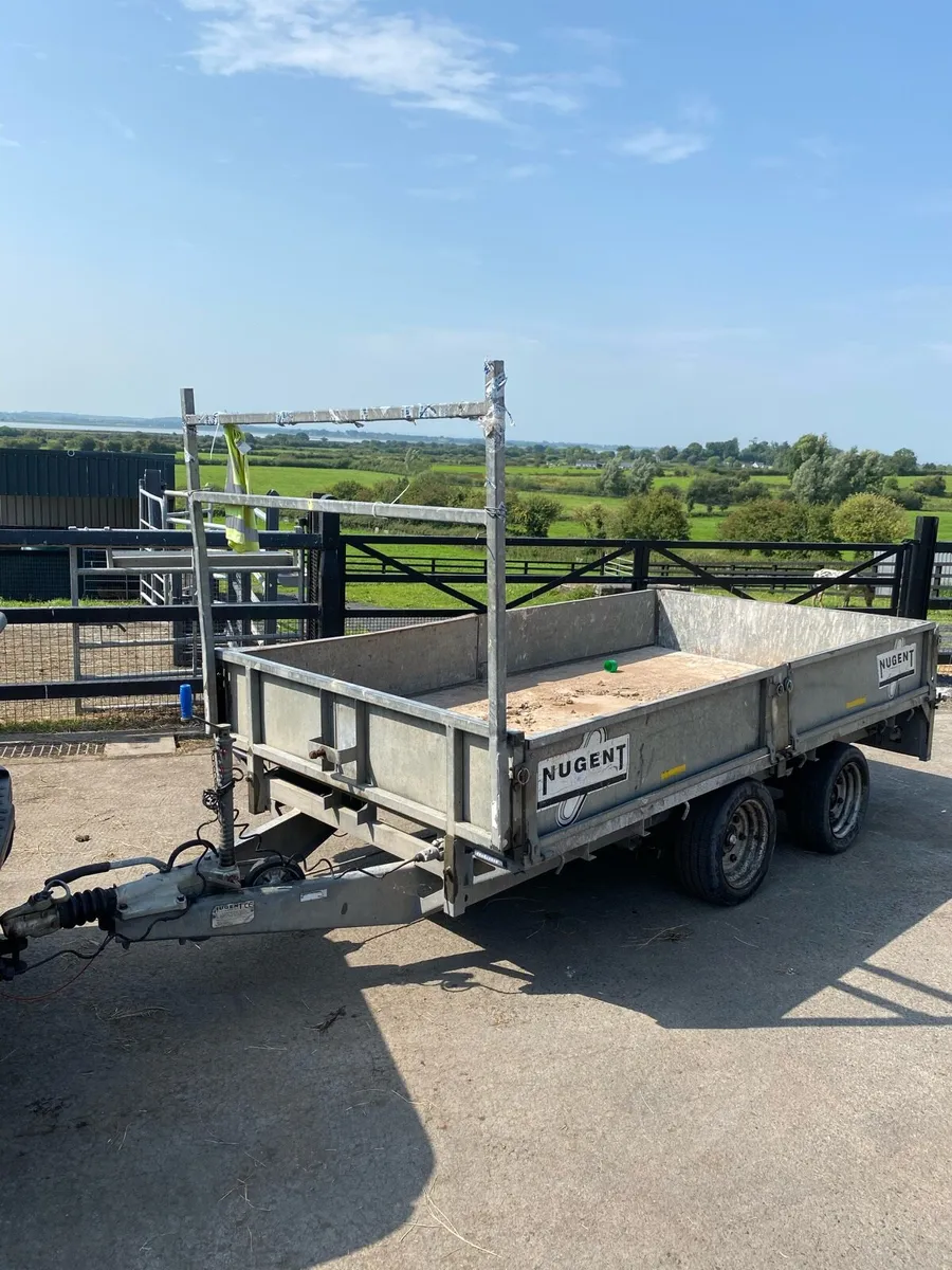 Nugent 10x6 drop side trailer - Image 1