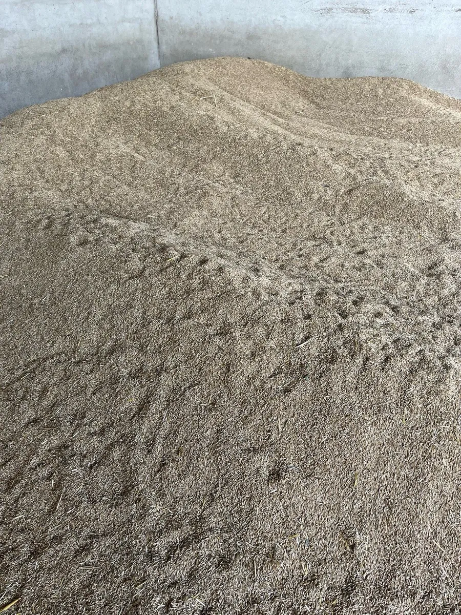 Organic oats - Image 1