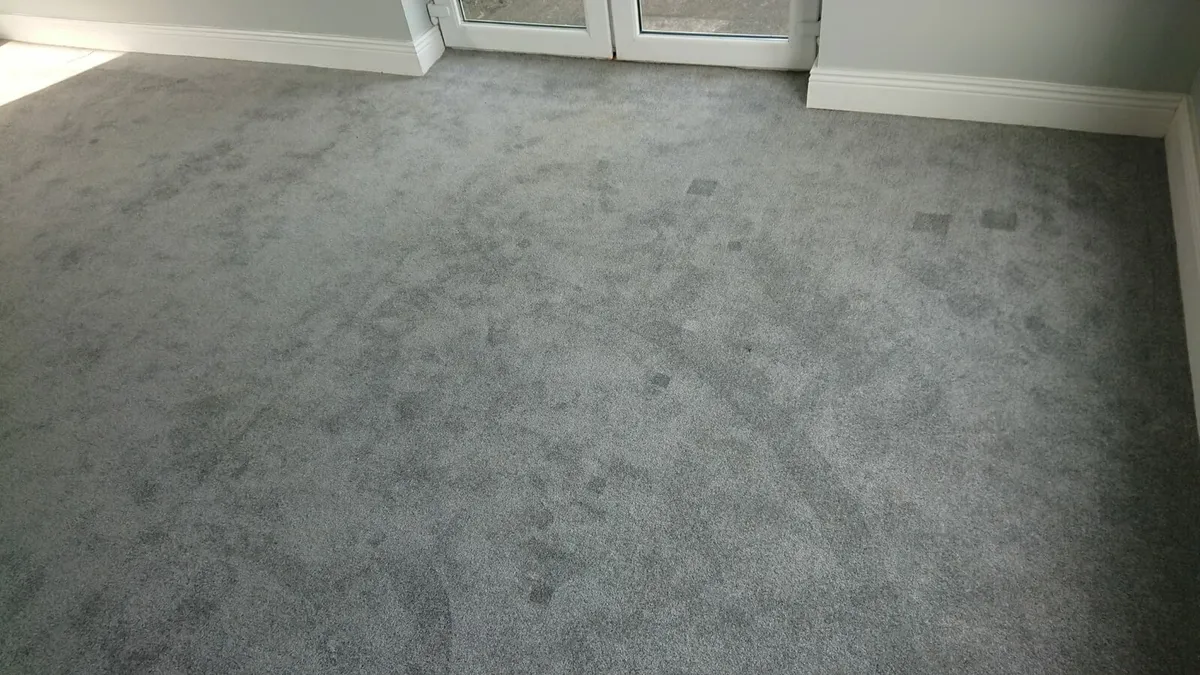Carpet - Image 2