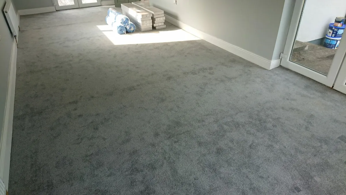 Carpet - Image 3