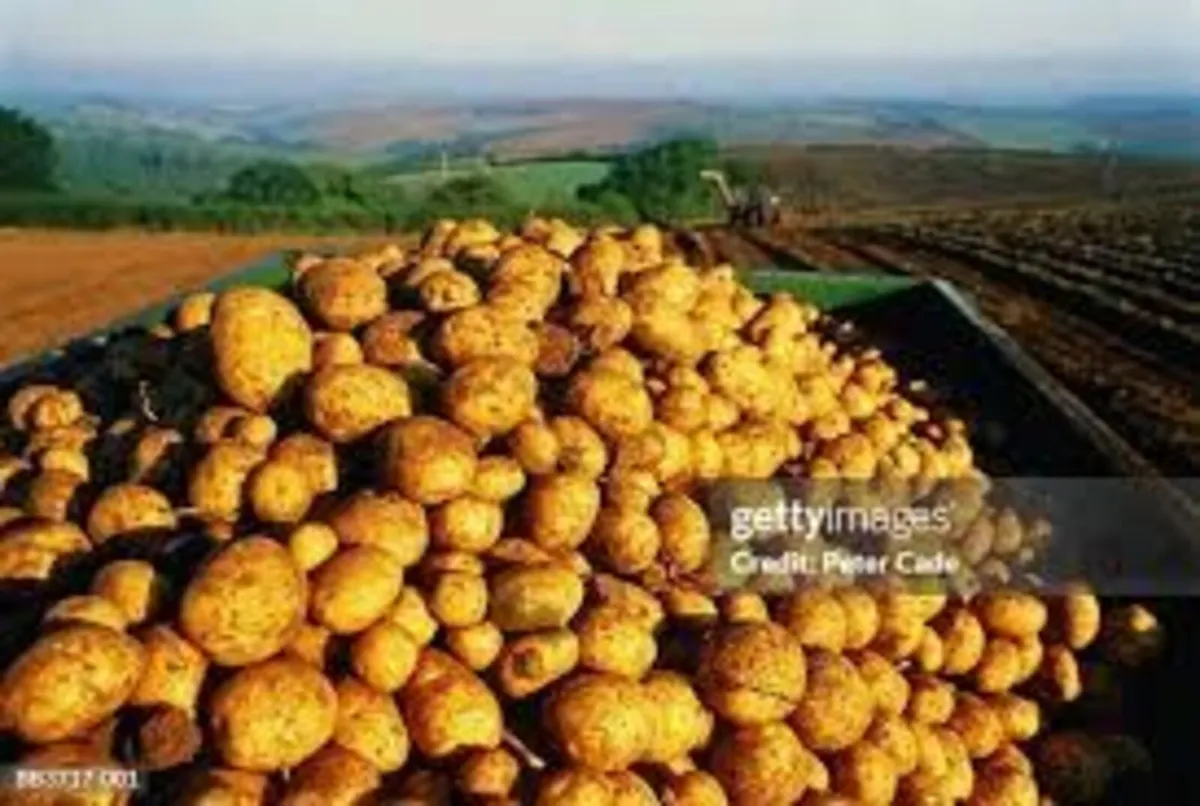 Poatoes