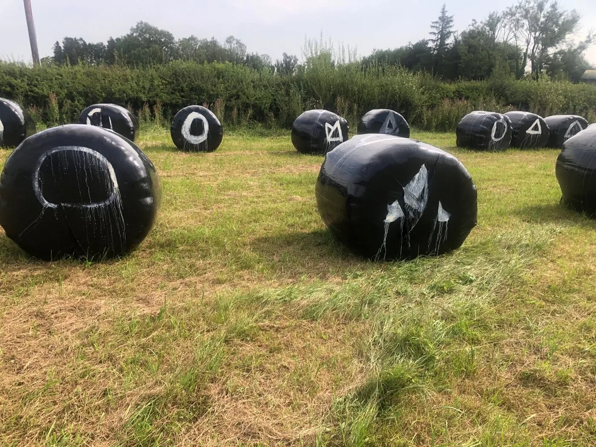 Hay ledge/silage - Image 1