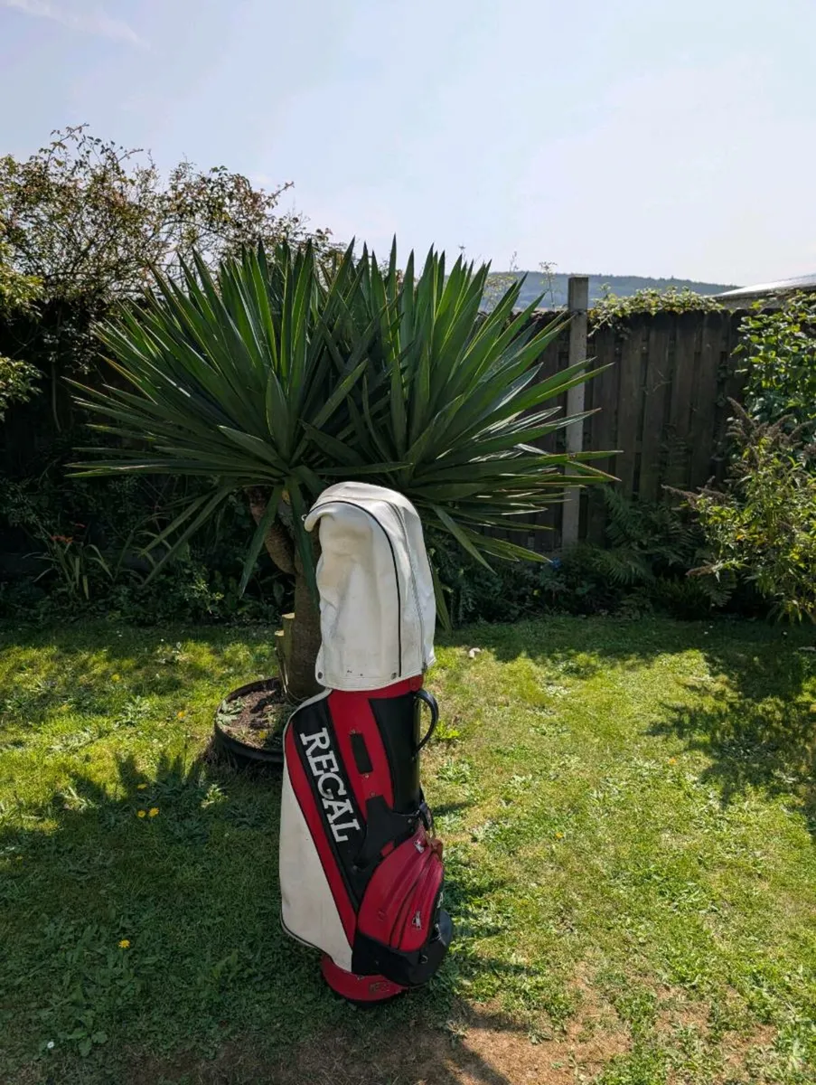 Gorgeous regal Golf bag and some clubs - Image 1