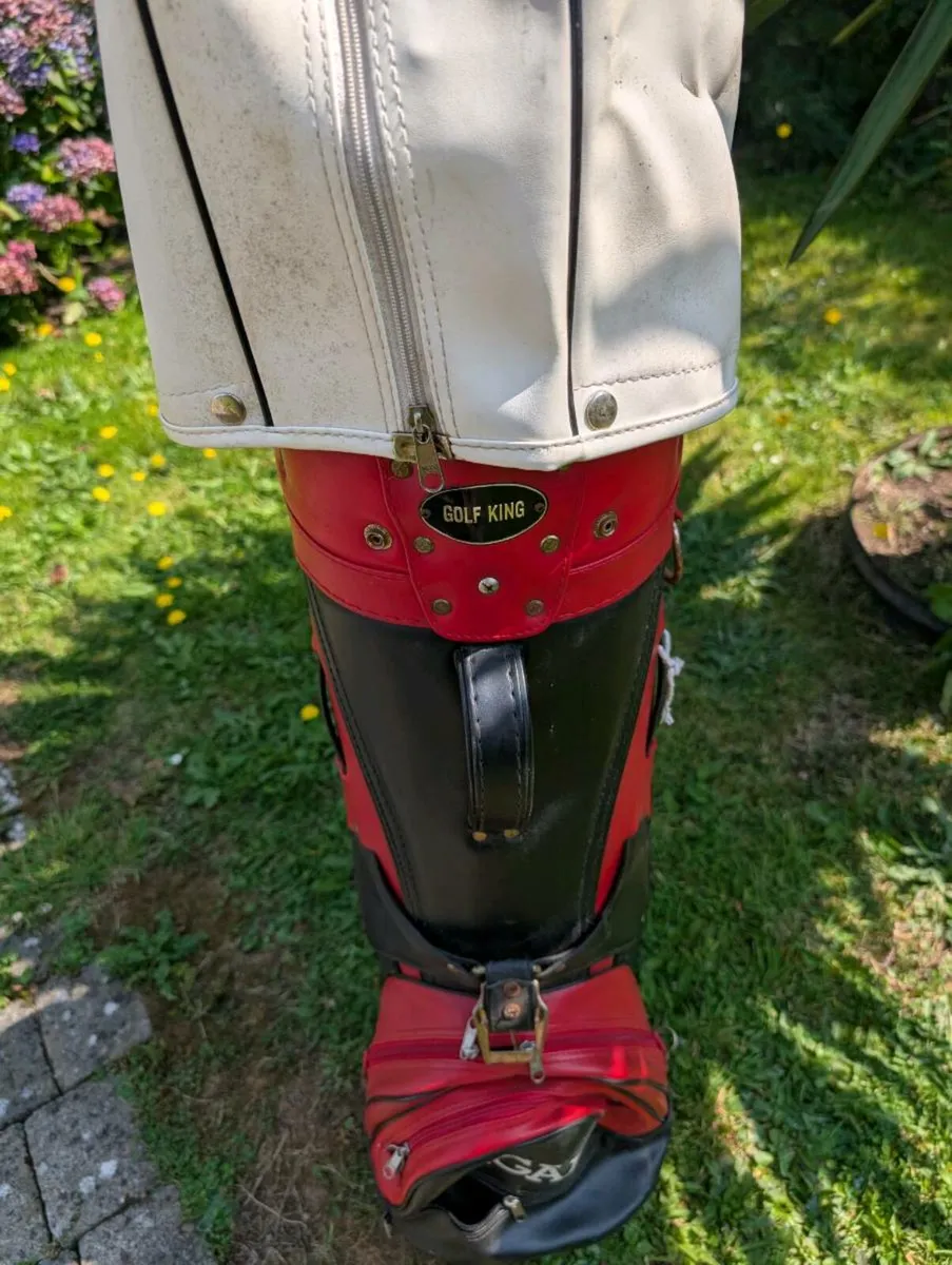 Gorgeous regal Golf bag and some clubs - Image 3