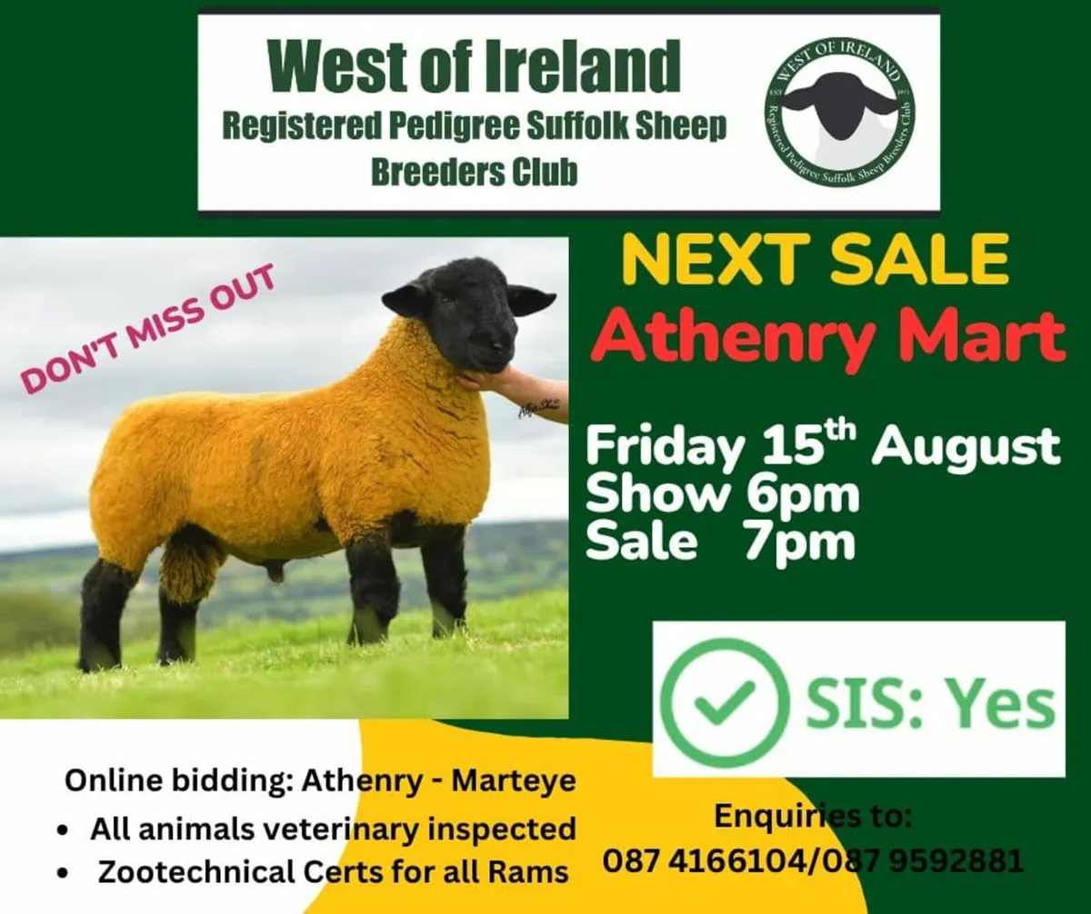 SUFFOLK PREMIER SALE