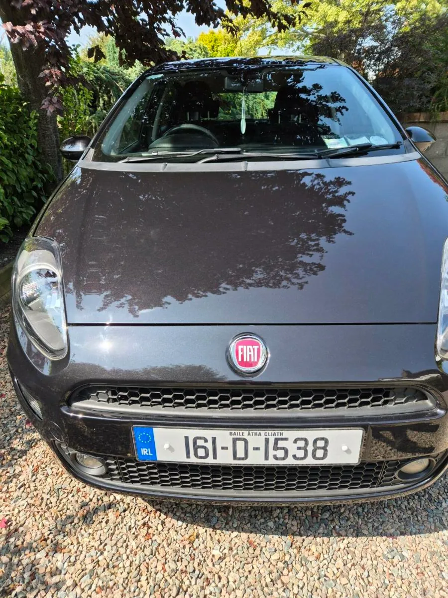 Fiat Punto Sports - Image 1