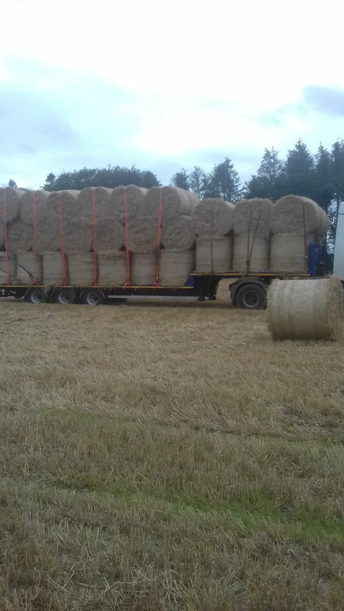 Oaten straw cashel area - Image 2
