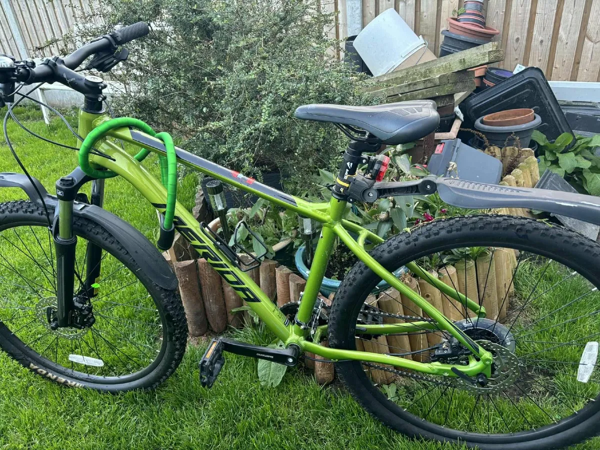 Bike - Image 2