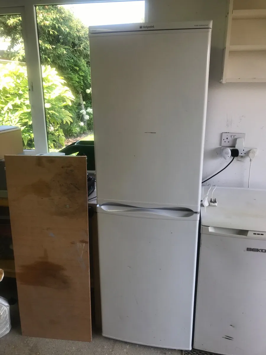50/50 Fridgefreezer - Image 2