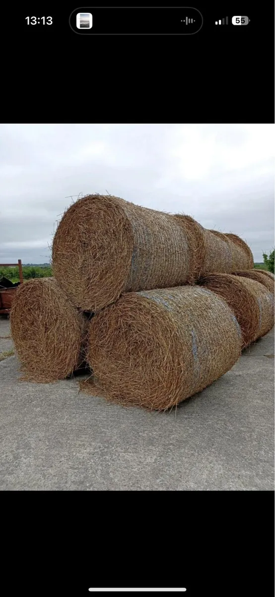Rushes for bedding