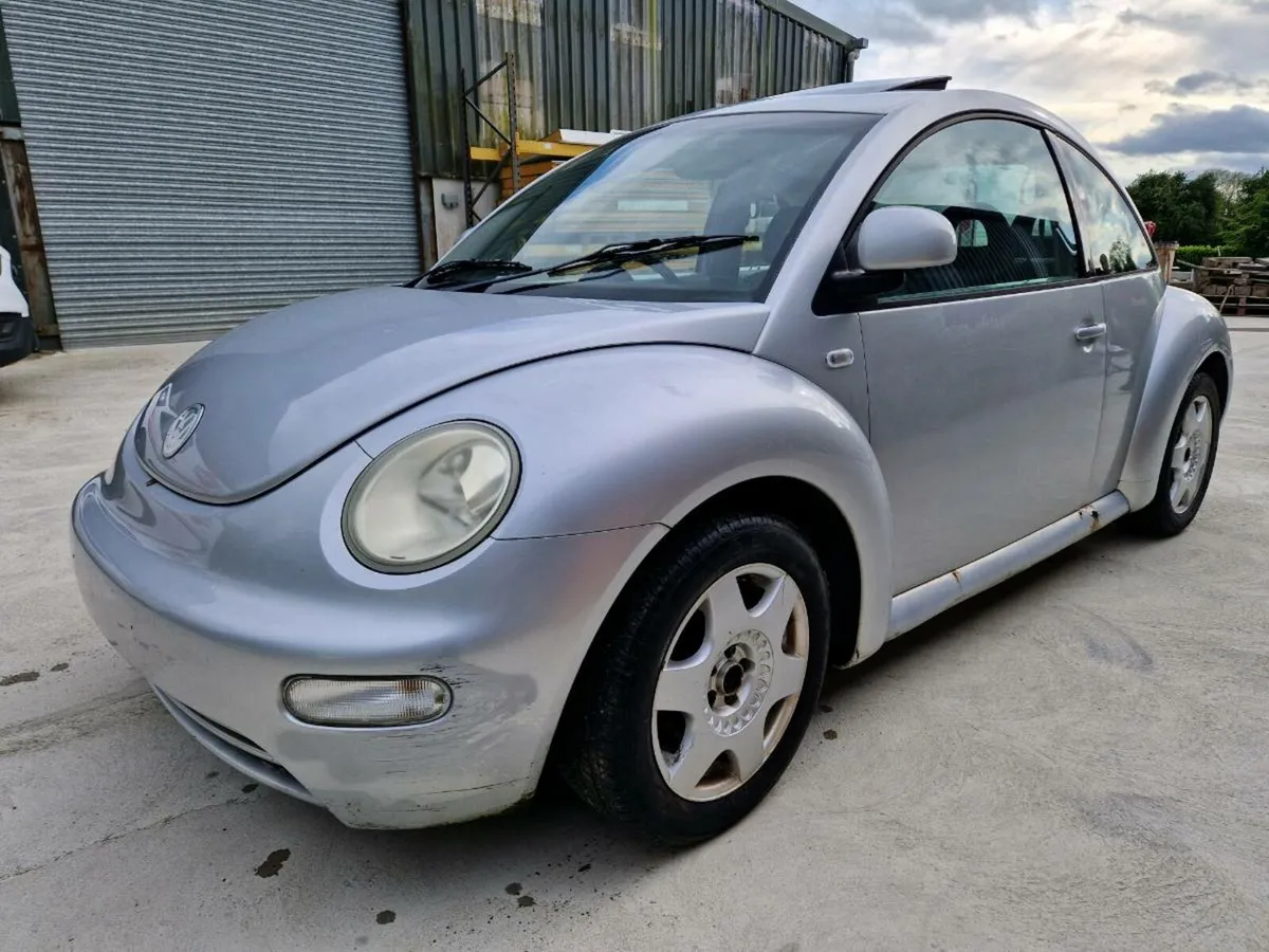 Volkswagen Beetle - Image 2