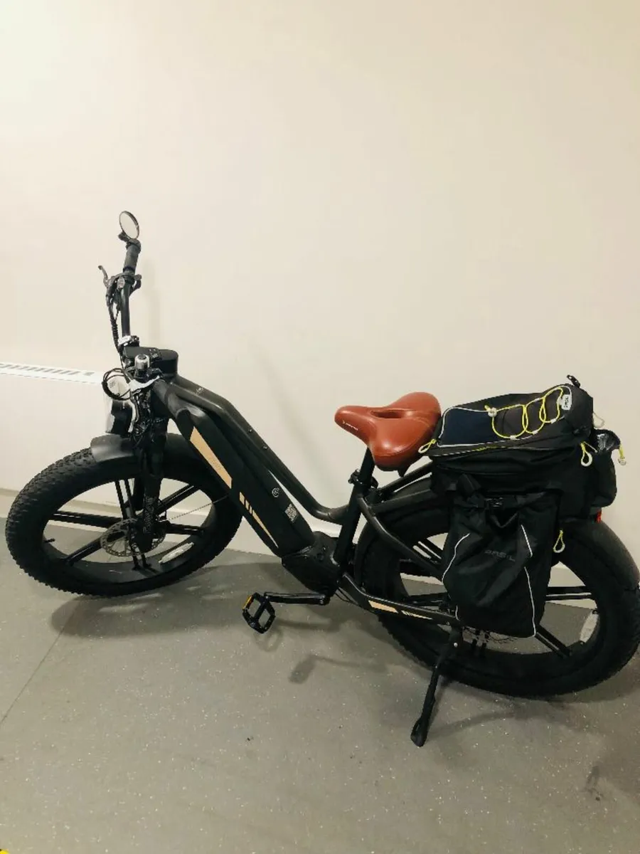 Fiido Titan Fat Tire Ebike - Image 1