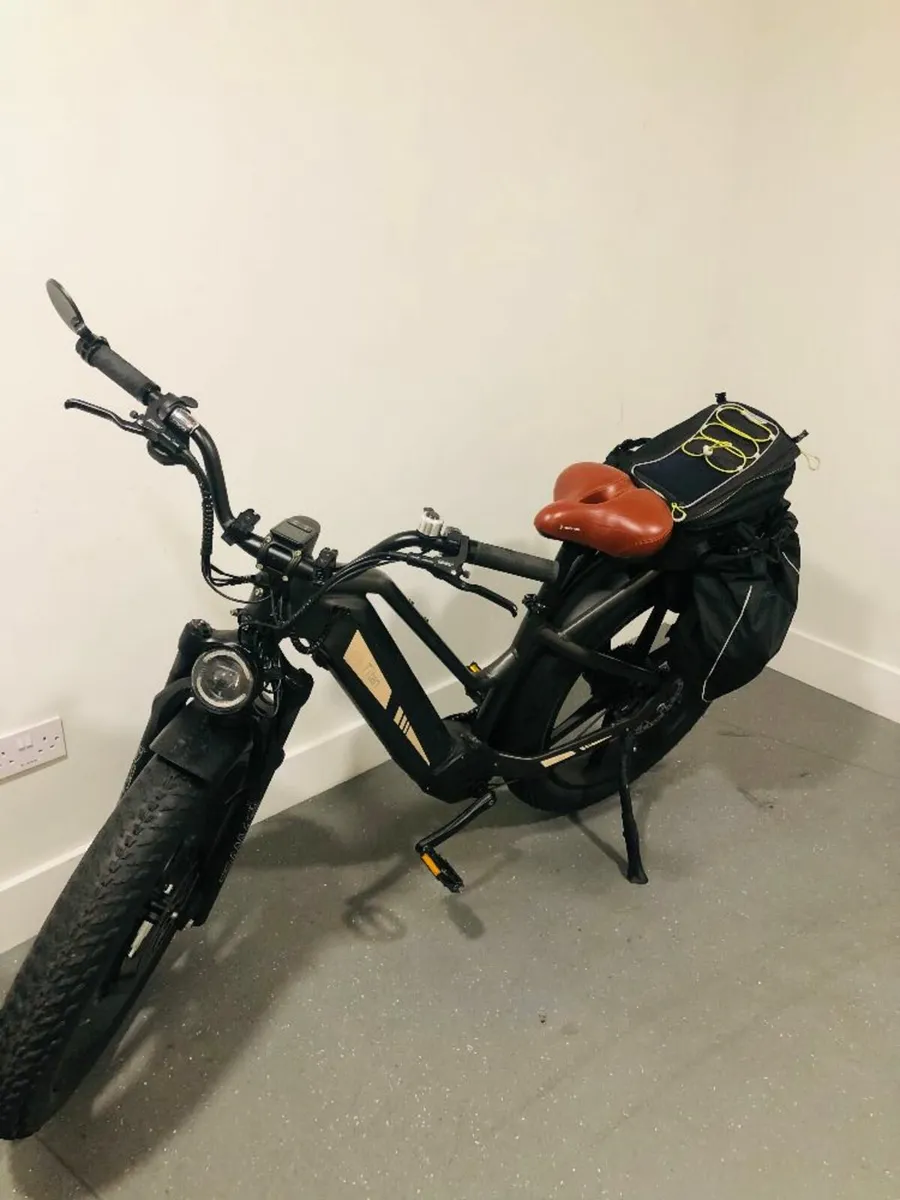 Fiido Titan Fat Tire Ebike - Image 2