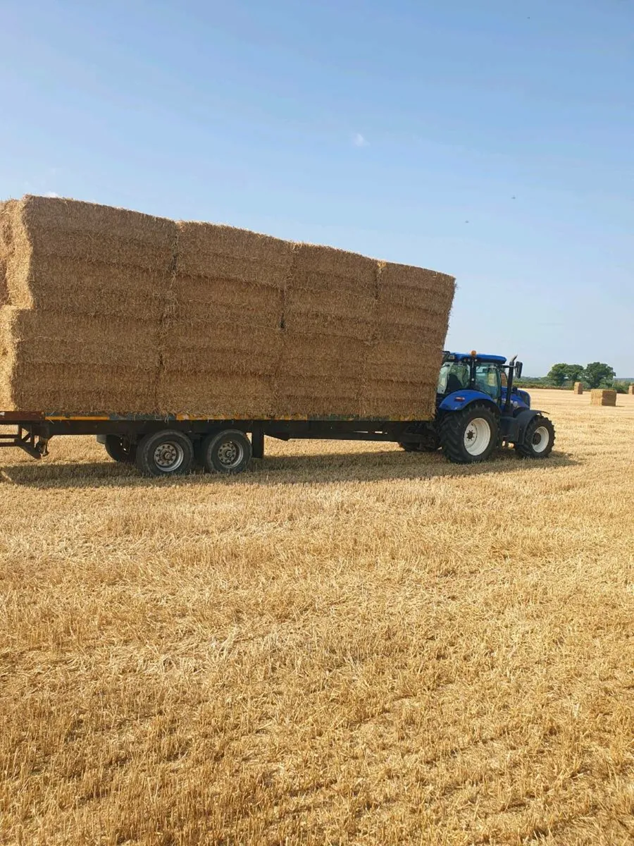 Wheaten Straw Square Bales