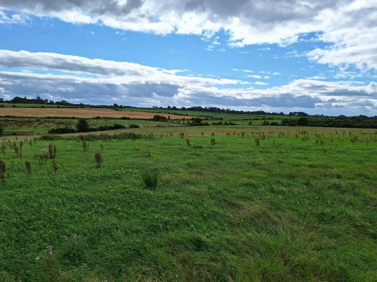 Meadows for sale - Image 1