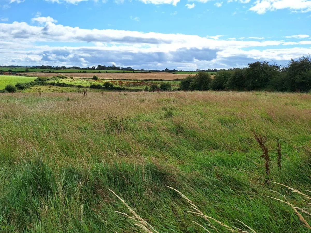 Meadows for sale - Image 2