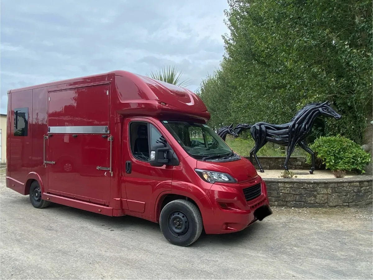 161 Peugeot Boxer 2 Horse Van - Image 1