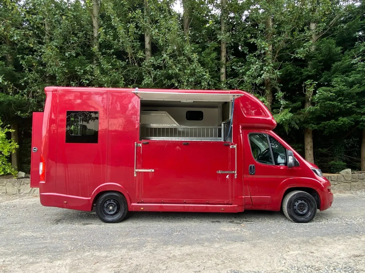 161 Peugeot Boxer 2 Horse Van - Image 4