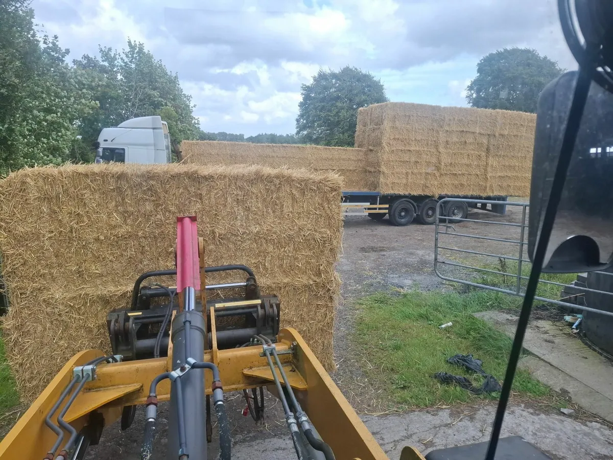 Spring straw 8x4x3s - Image 1