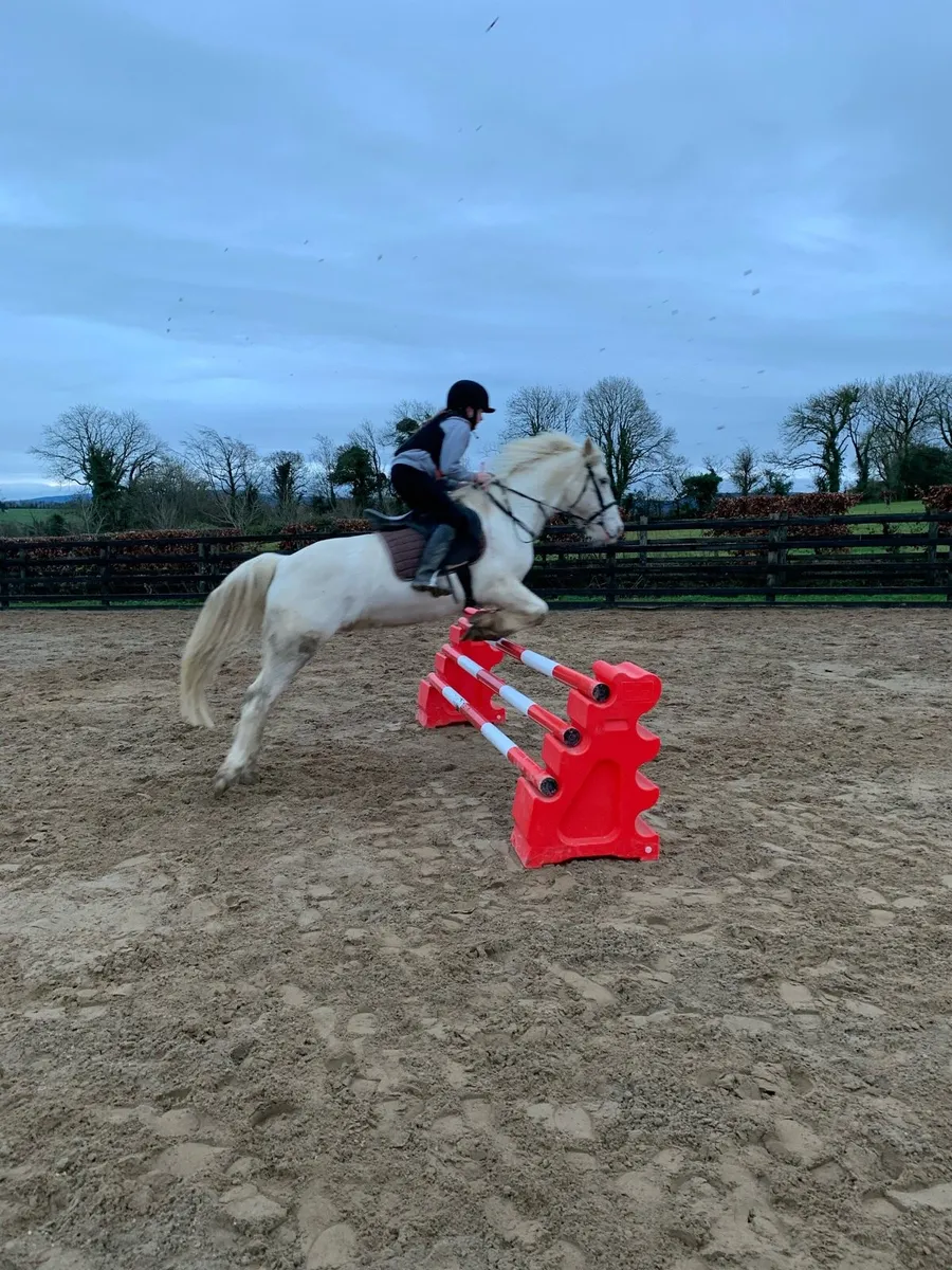 14.2 Pony - Image 1