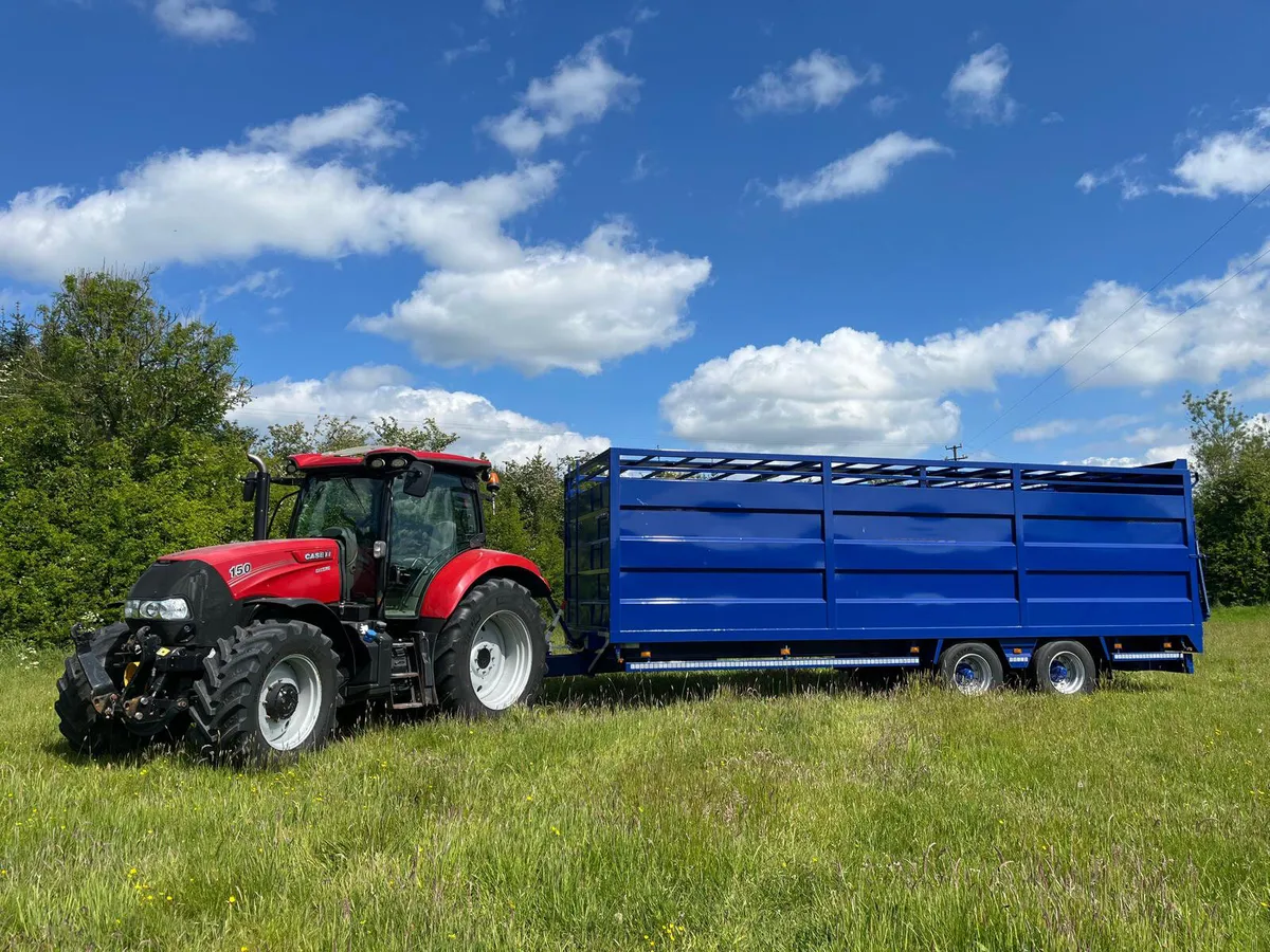 26ft All Steel Cattle Trailer -Good Value
