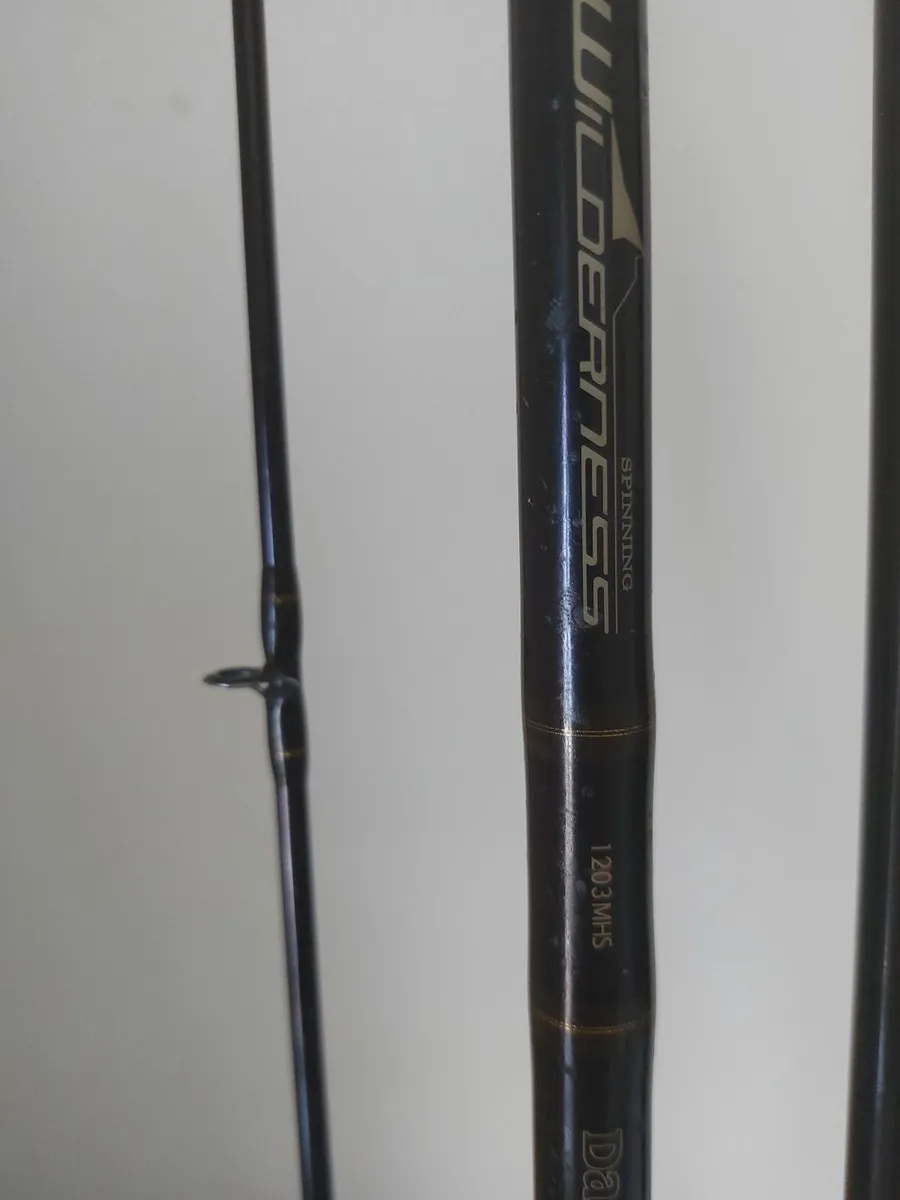 Fishing  rod