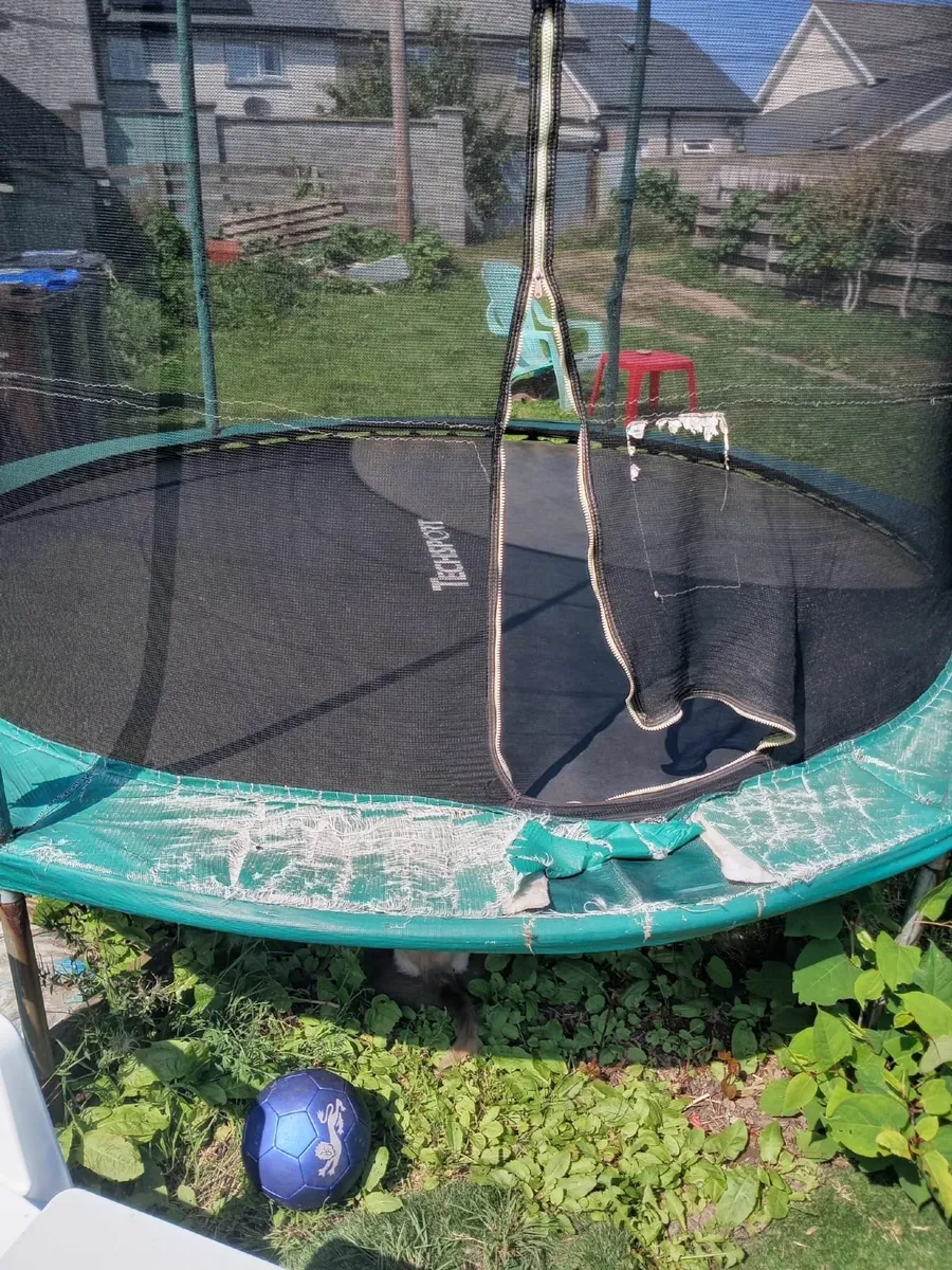 Trampoline - Image 1