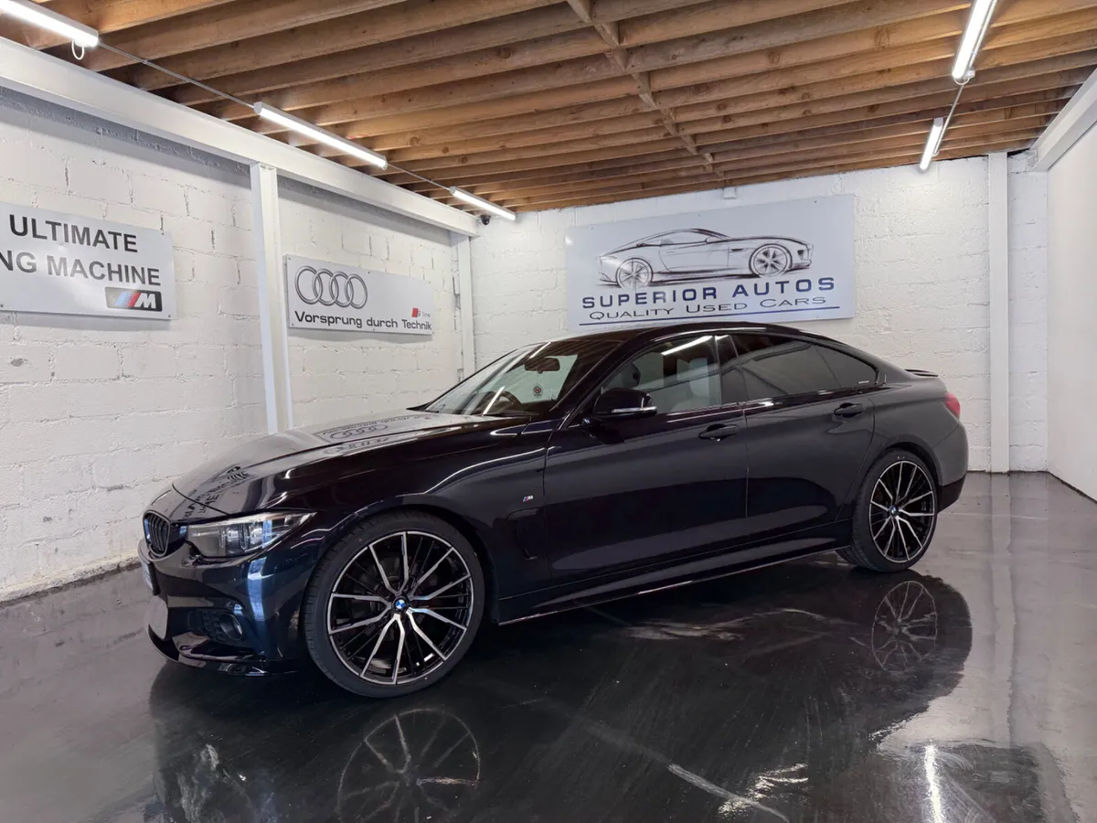 2020 BMW 4-Series  420d Msport Auto - Image 2
