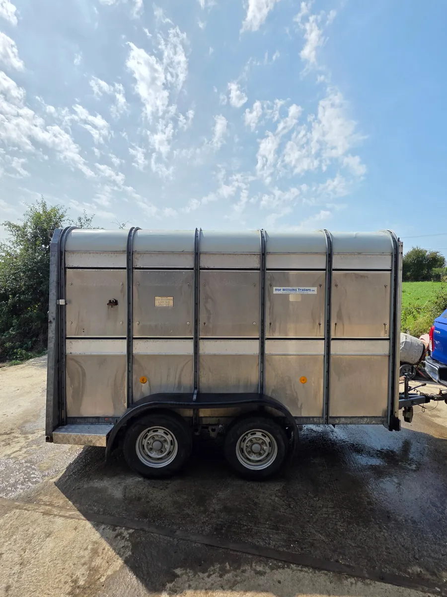 10x5 ifor Williams livestock trailer with decks - Image 3